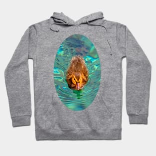 Duckling in the ripples Hoodie